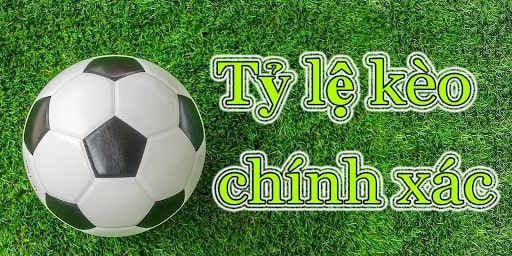 Tiết lộ cách tính tỷ lệ kèo trong bóng đá chuẩn như các cao thủ